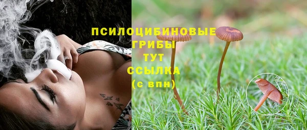PSILOCYBIN Арсеньев