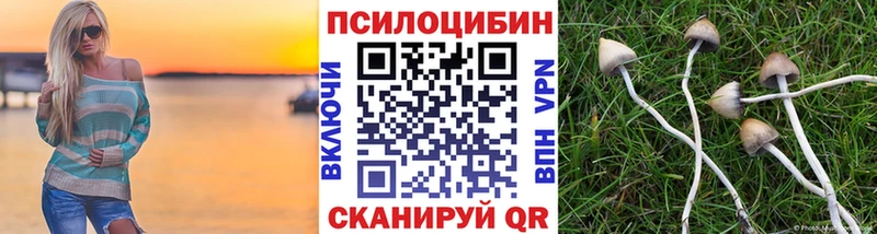 kraken маркетплейс  Тырныауз  Галлюциногенные грибы GOLDEN TEACHER  купить  цена 